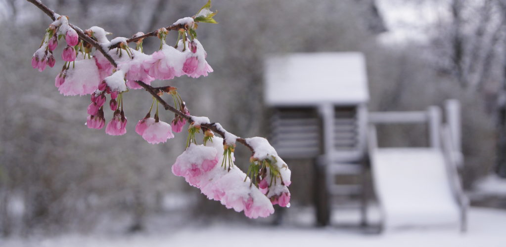 Bienvenue Familles En Deuil D un Enfant Bienvenue Familles En Deuil D un Enfant
